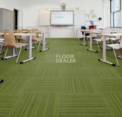 Forbo Tessera Layout & Outline 3106 fruit salad фото 2 | FLOORDEALER